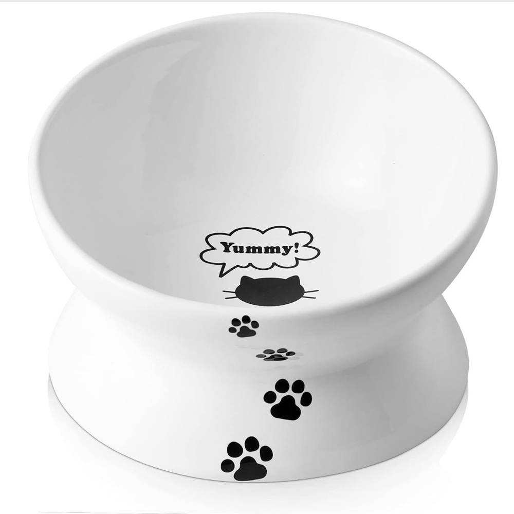 Raised ceramic cat dish